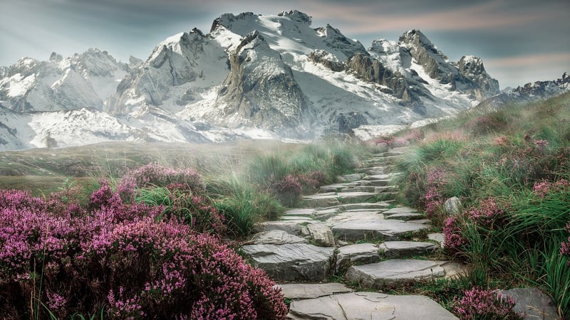 Stone Paths