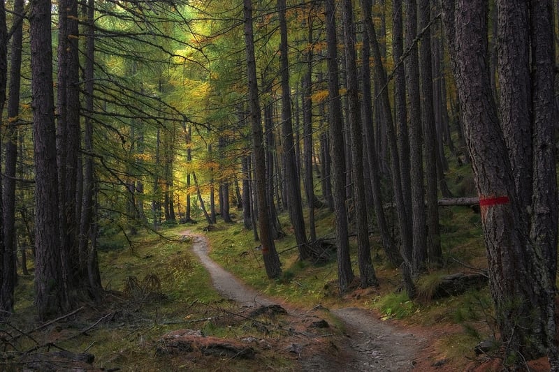Trail Designs